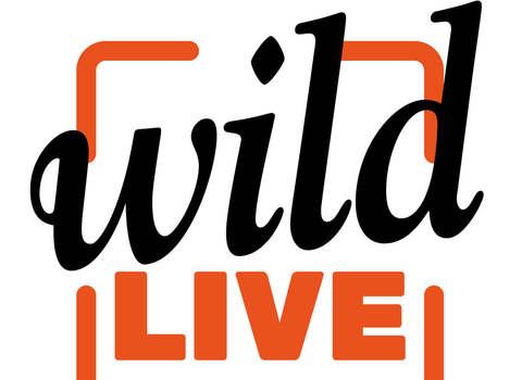 The Wildlife Trusts' Wild LIVE logo. The word 'wild' is black and the word 'live' is orange