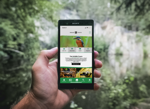 A person holding up a phone displaying the Lancashire Wildlife Trust app. There is a lake in the background