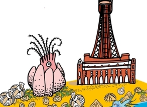 Buck the Barnacle Tale Trail Story Icon
