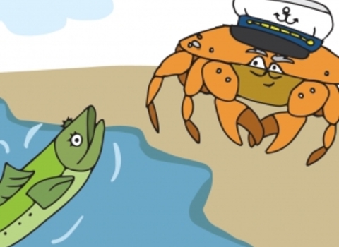 The Little Cucumber Fish of Wyre Story Icon