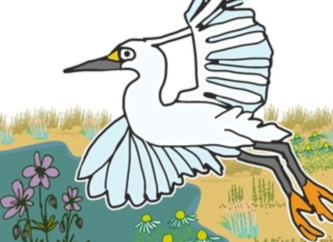 Little Egret of St Anne's Story Icon
