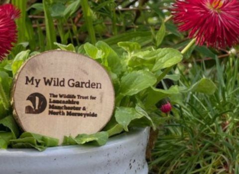 Wooden plaque 
