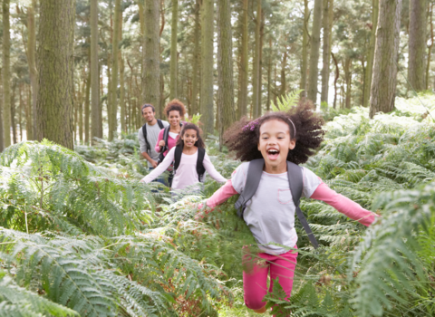 Forest School Taster