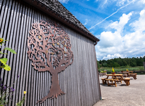 A photo of the Memory Tree on the Visitor Village at Brockholes, with picnic benches in the background.