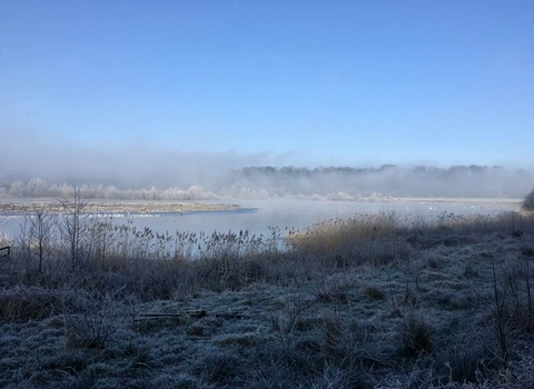 Winter frost - Brockholes 