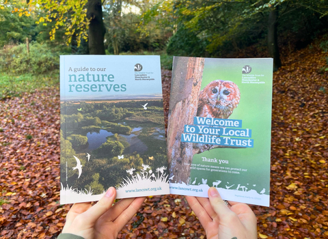 A copy of our 2023 reserve guide and membership leaflet are held up in front of a woodland backdrop