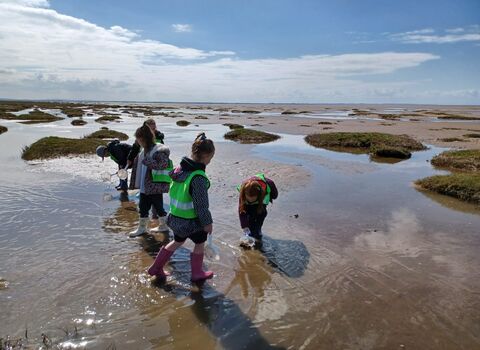 Beach School