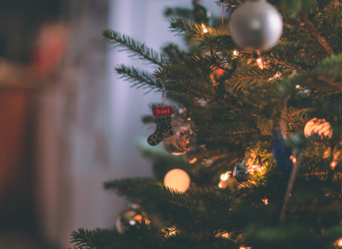 tree