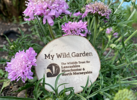 Our My Wild Garden award
