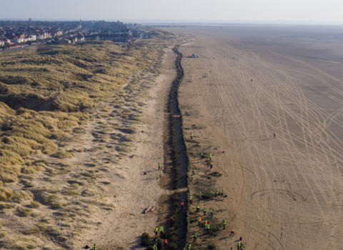 Fylde Sand Dunes