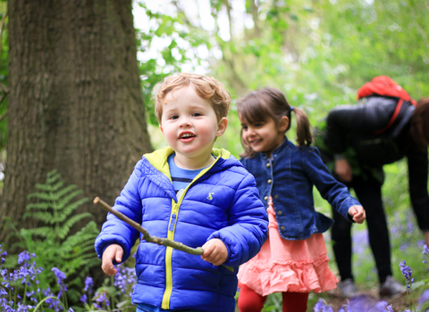 Children in a wood in spring