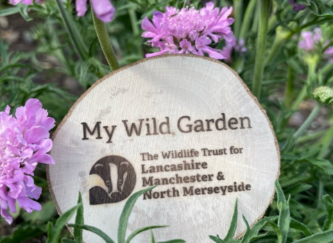 A My Wild Garden wooden plaque sits on a bed of grass and pink flowers