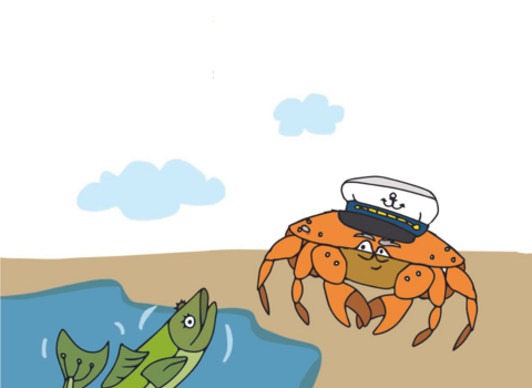 Little Cucumber Fish of Wyre Tale Trail Story Icon