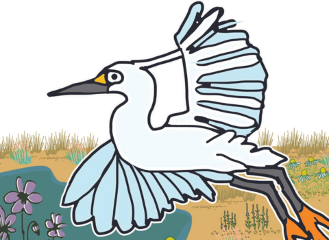 Little Egret of St Anne's Tale Trail Story Icon