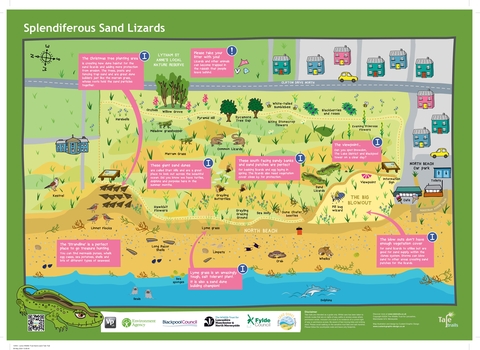 Splendiferous Sand Lizard Map - North Beach