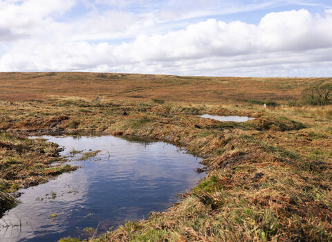 New bunding area on Darwen Moor.