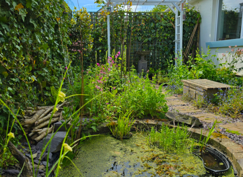 A small garden pond surrounded by log piles, flowering plants, and dense greenery, with duckweed on the water's surface.