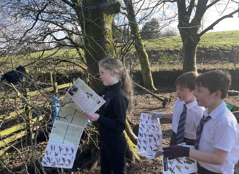 Children identifying cuddly toy bird using ID guides