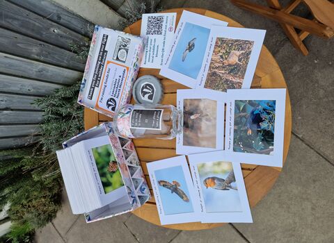 A table of Delphine's prints and fundraising resources