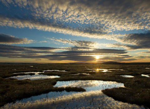 A view over a peatland landscape with the sunset reflected in the pools