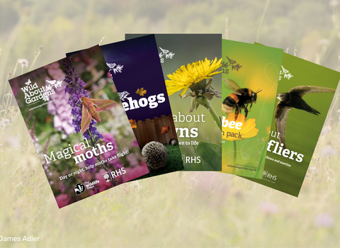 A selection of our 'Wild About Gardens' downloadable guides