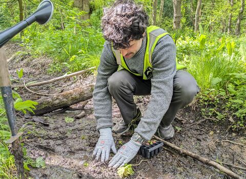 A man planting a small green plug plant
