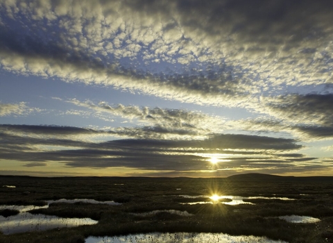 The sun setting and casting shafts of light over the pools on a peat bog
