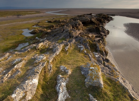 A limestone outcrop on the edge of saltmarsh and mudflats at Morecambe Bay