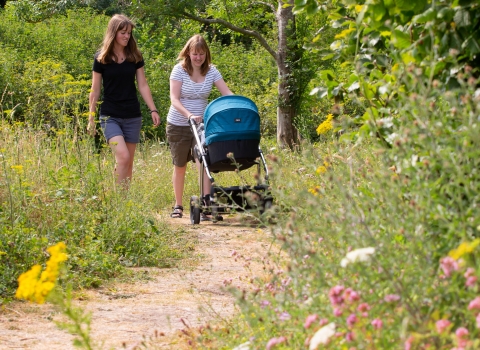 Two women walking through a wildflower area with a pram